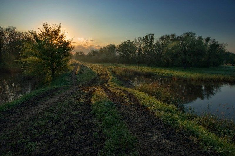 Коровьи тропы фото превью