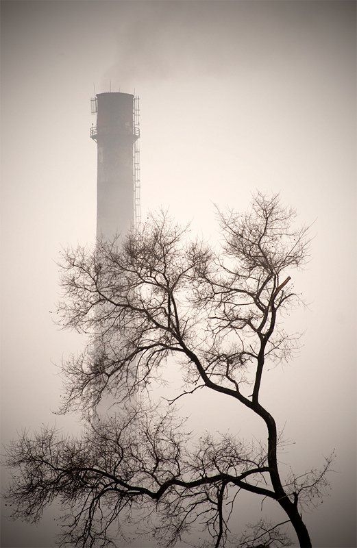 владивосток, туман, северные, земли *** фото превью