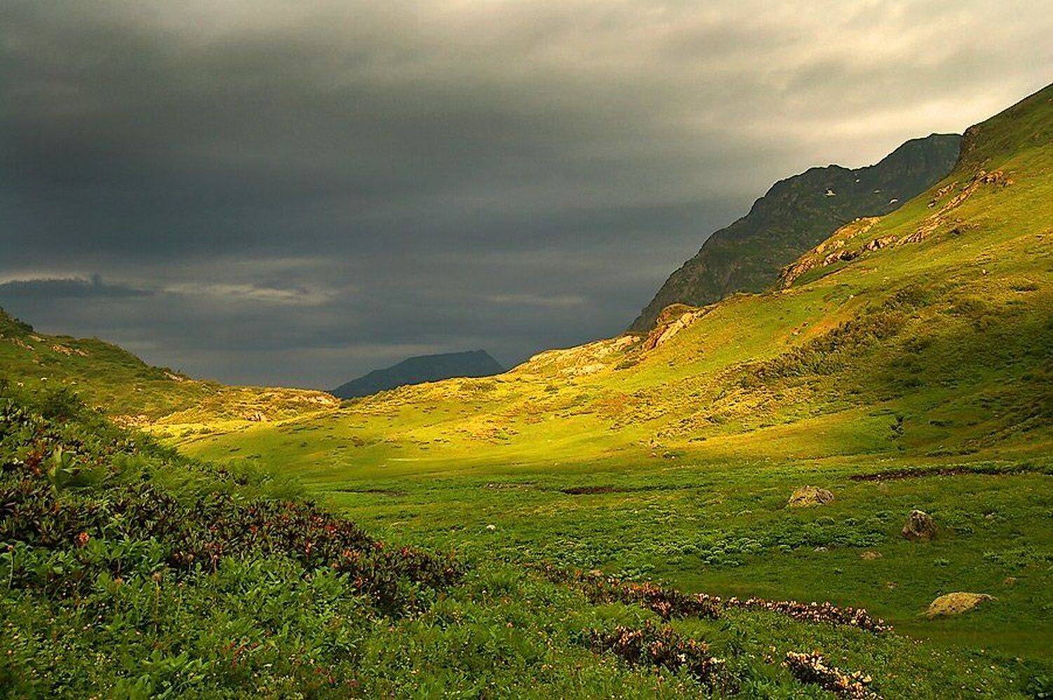 , Михаил Ступин