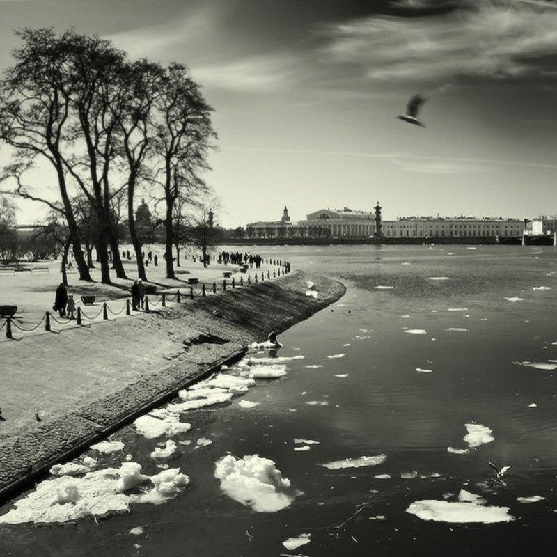 Апрель над Невой фото превью