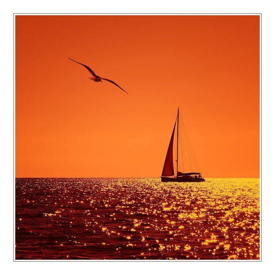 море, блики, яхта, парус, пейзаж, Oleg Dmitriev