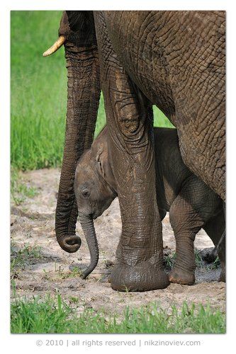 С мамой ничего не страшно