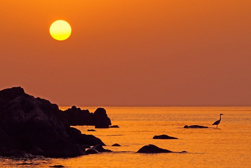 на рассвете фото превью