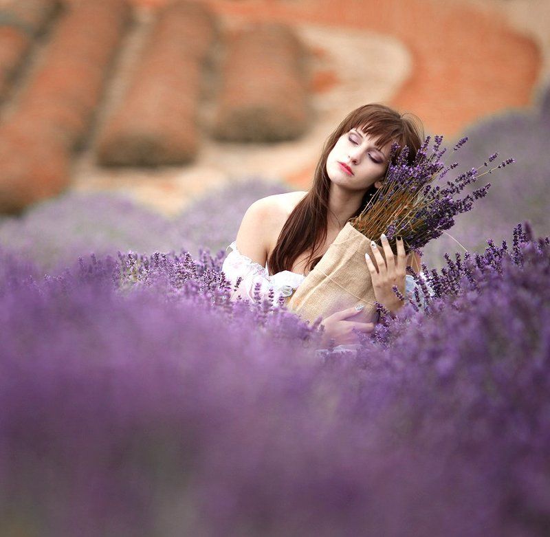 Lavender day фото превью