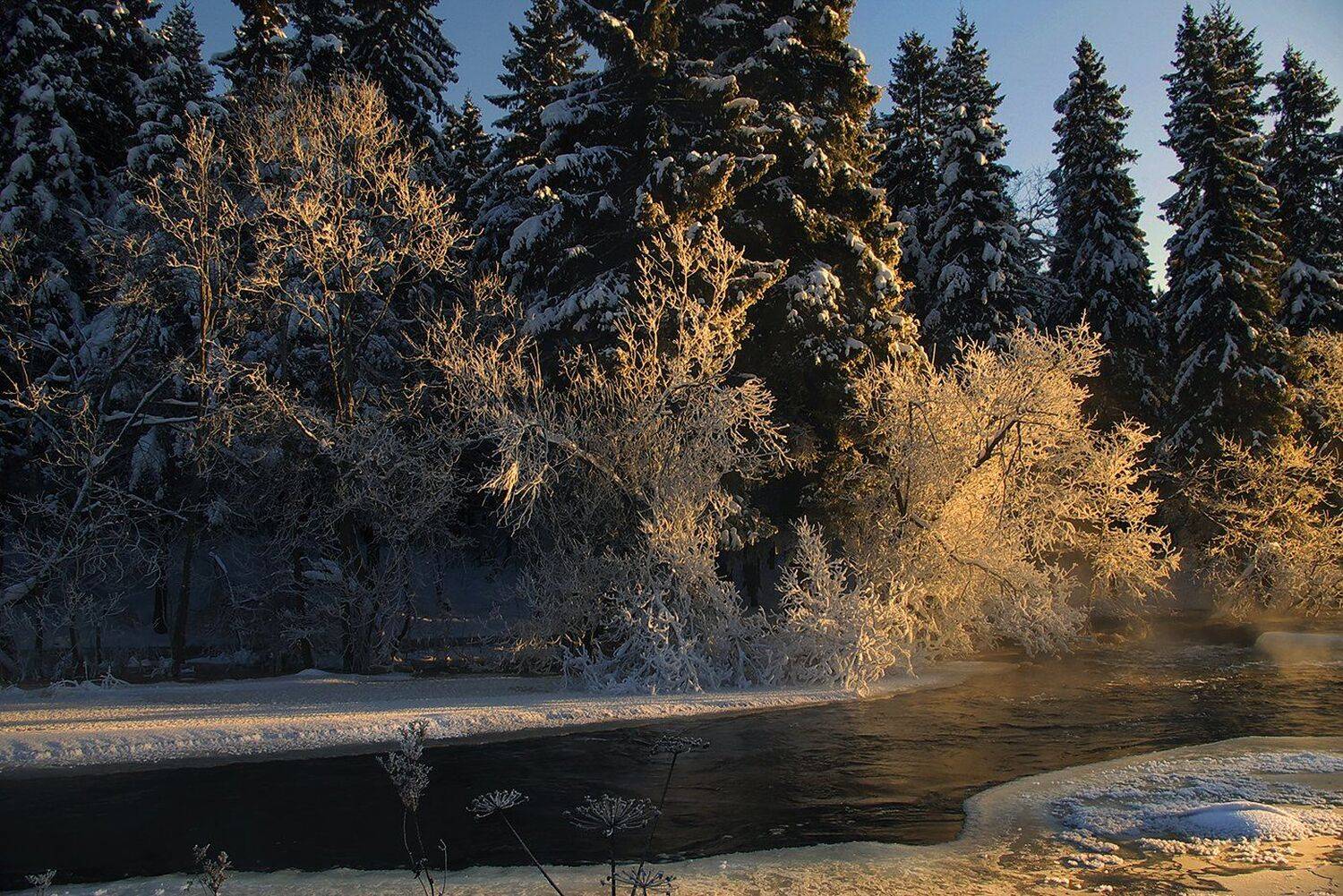 Зима, Карелия, Мороз, Виктор