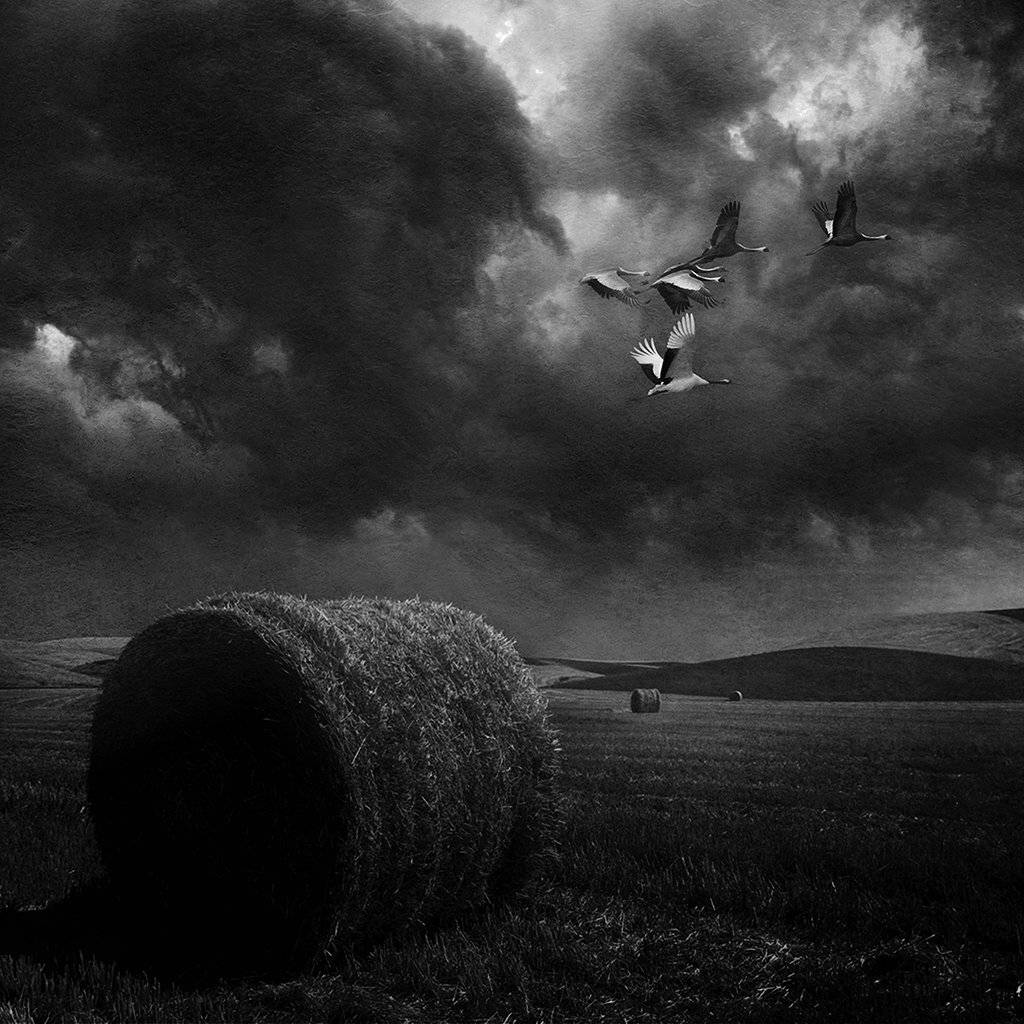 , Рублёв Дмитрий