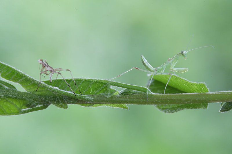 Смена костюма фото превью