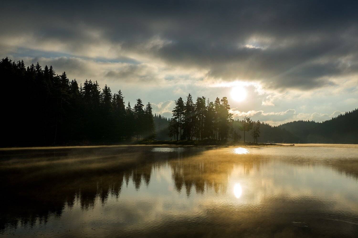 , Илияна Шишкова