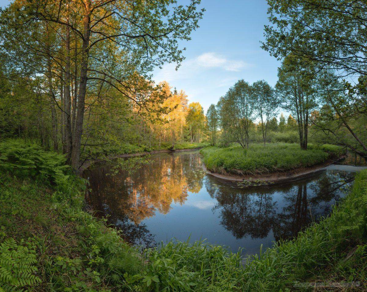 , Хохряков Николай