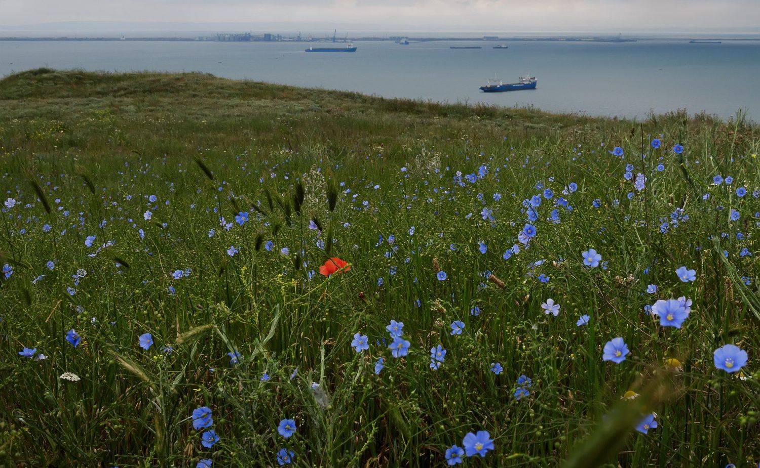 , Анатолий Щербак