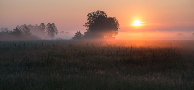 ах лето... фото превью