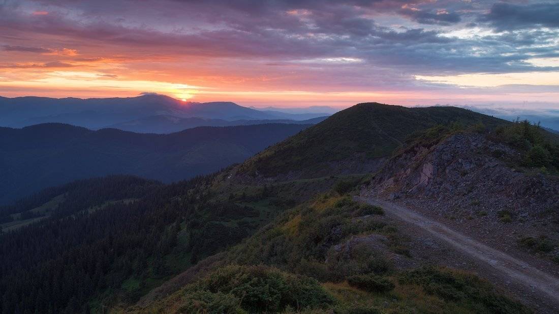 , Ярослав Тюрменко (Jaremi)