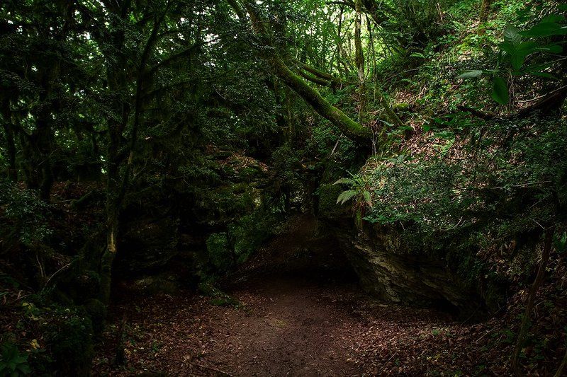 море абхазия горы небо пейзаж закат путешествия отдых  Дорога к Шакуранским водопадам фото превью