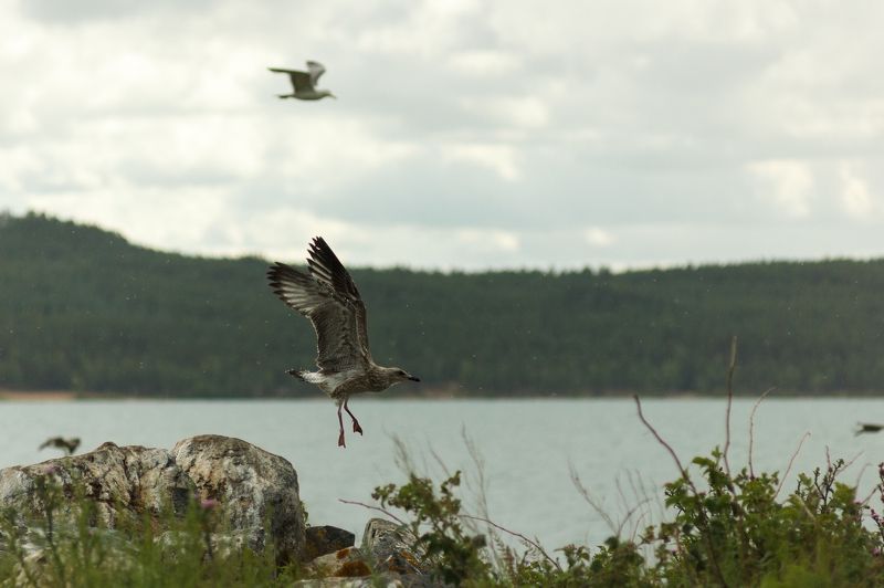 На взлёт! фото превью