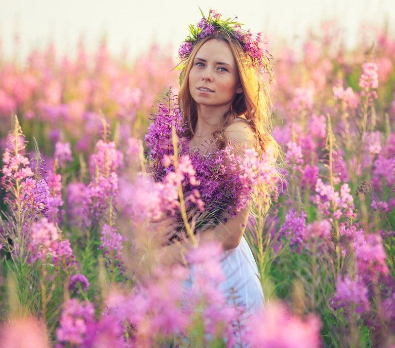 Вечер, Закат, Иван-чай, Ната. Иван-Чай фото превью