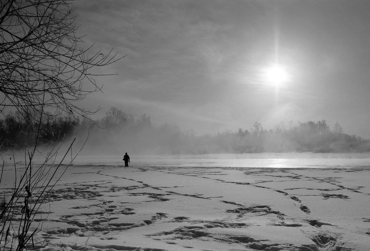 , Николай Морский