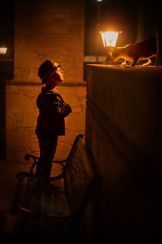 Бродячий кот фото превью