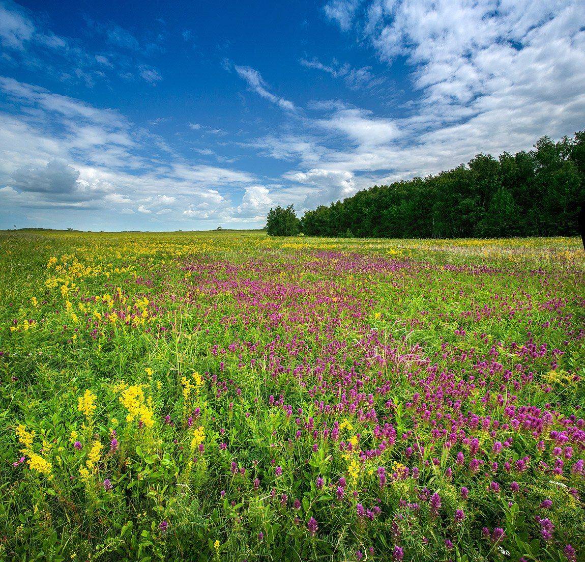 , Качурин Алексей