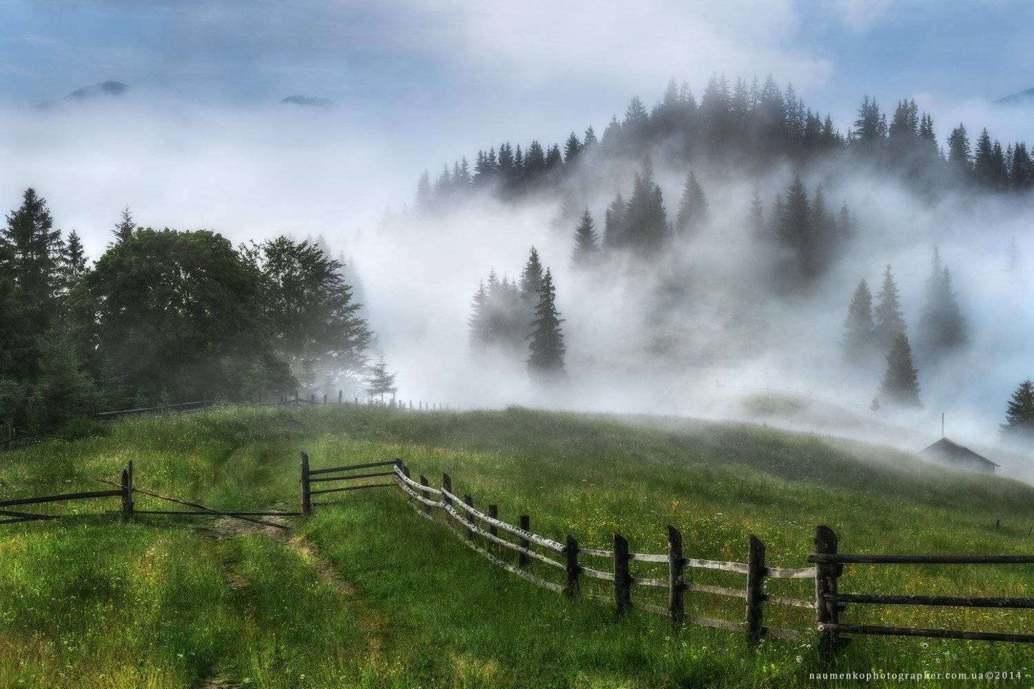 украина, карпаты, дземброня, ушастый камень, вухатый камень, лето, туман, лес, пейзаж, небо, утро, горы, природа, рассвет, путешествия, туризм, солнце, сцена, фон, страна, красота, туманный, цвет, земля, свет, гора, дерево, Александр Науменко