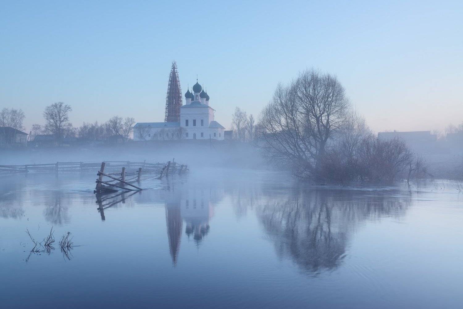 , Максим Евдокимов ( www.wildphotorus.ru )