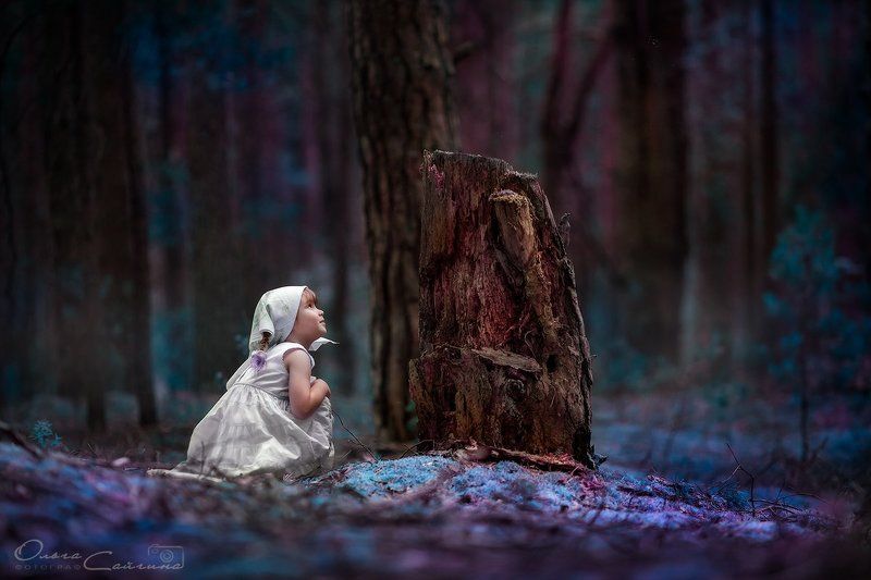 в сказке фото превью