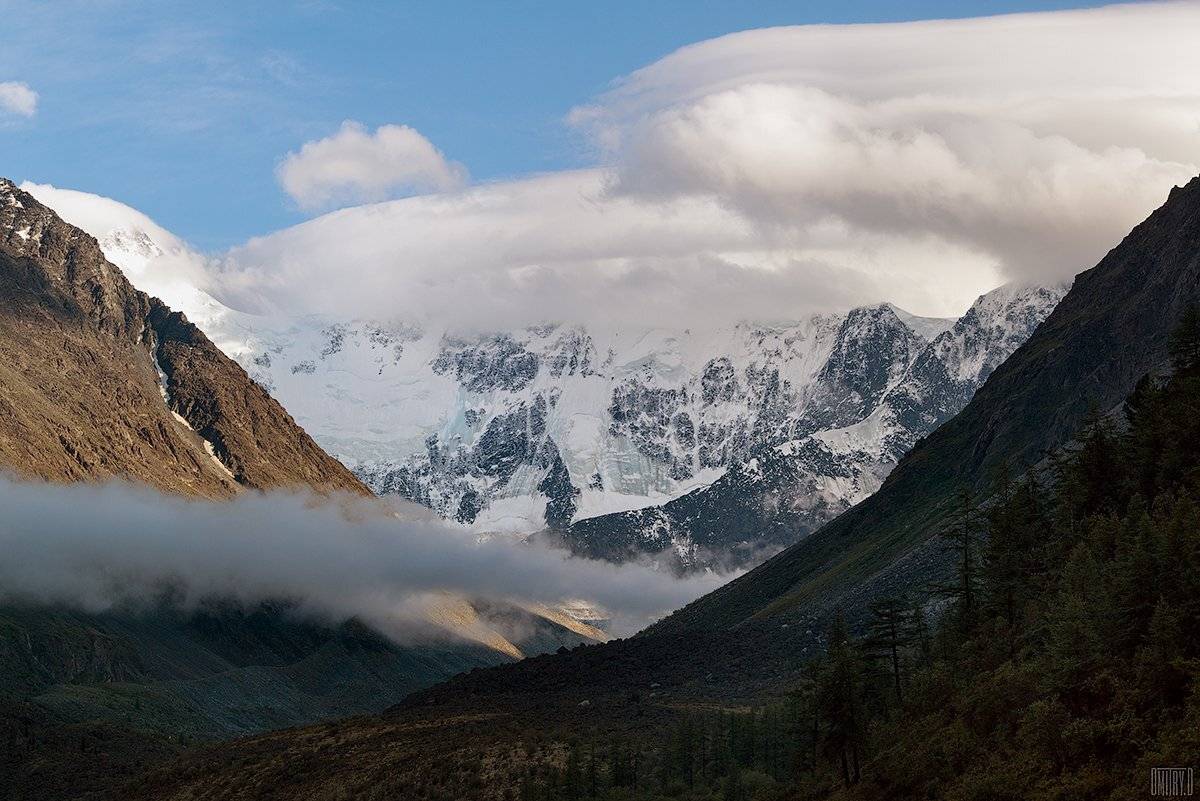 , Дмитрий Доронин