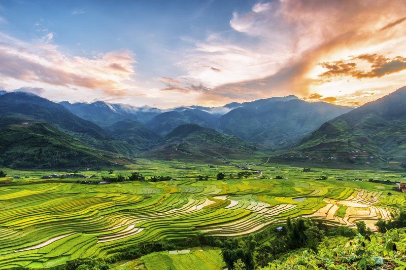 agriculture; asia; asian; cang; chai; curve; environment; farm; field; green; harvest; horticulture; land; landscape; mountain; mu; nature; plant; rice; rough; sapa; season; terrace; terraced; travel; valley; vietnam; water;  Cao Pha valley, Mu Cang Chai фото превью