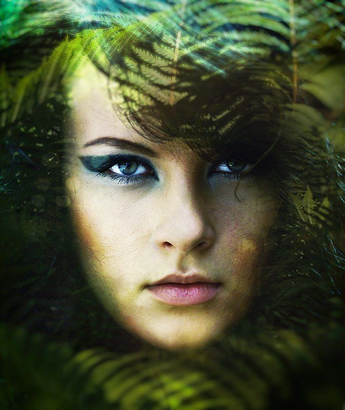 Fern Fern фото превью