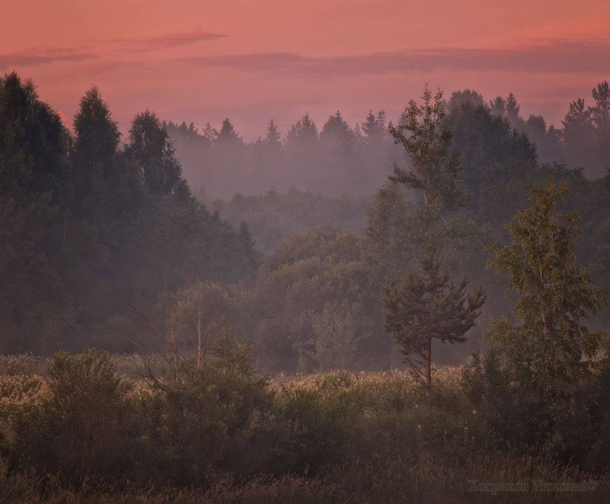 , Хохряков Николай