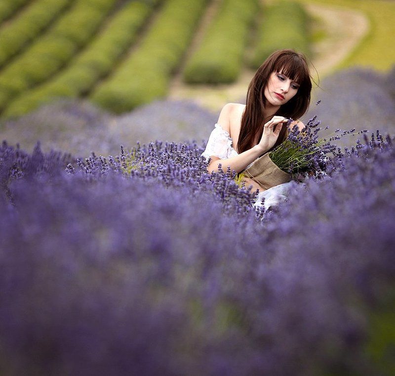 Lavender day фото превью