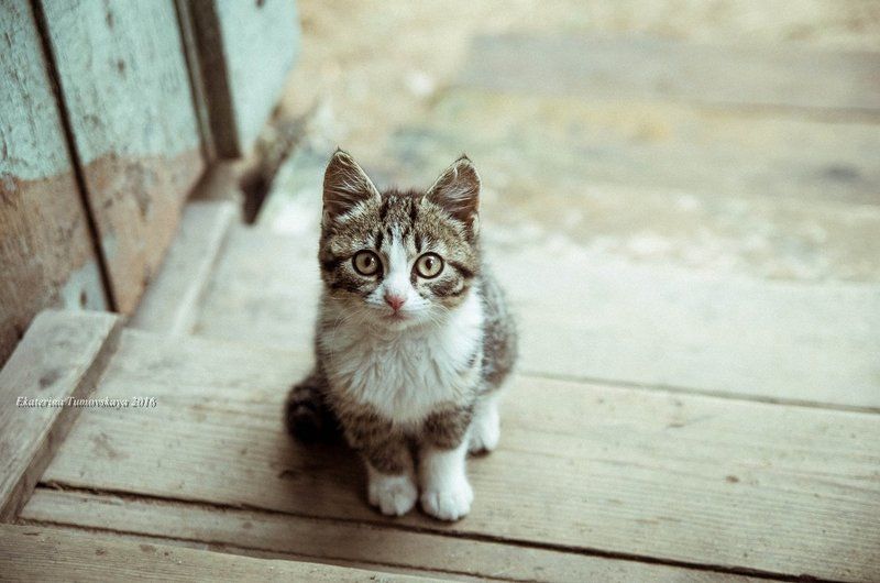 Что тебя ждет, малышка? фото превью