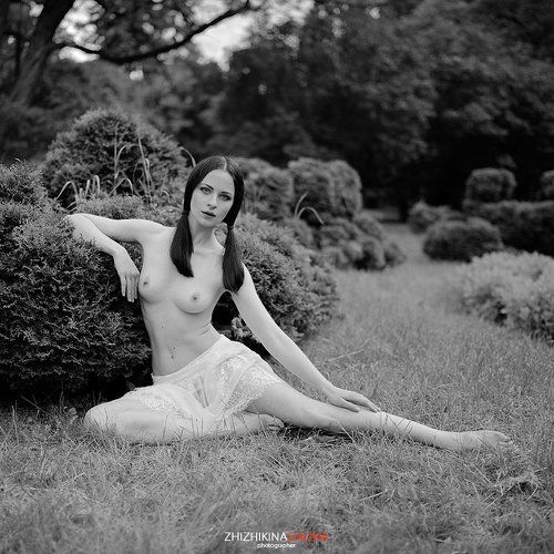 Garden of dreams
