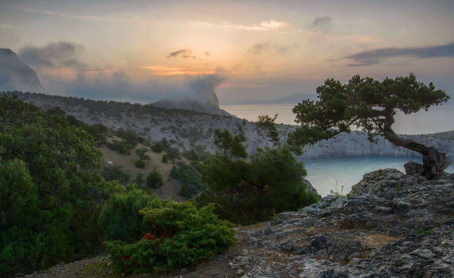 , Сергей Брагин