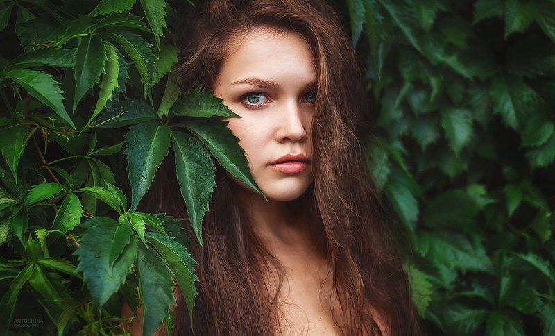 портрет, листья, лето, зелень, капли, глаза, девушка, portrait, summer, greens, eyes, girl После дождя... фото превью