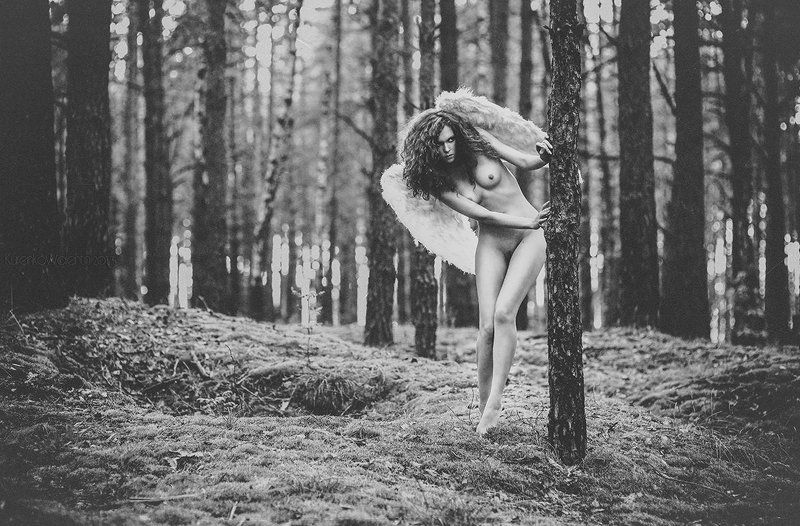 angel фото превью