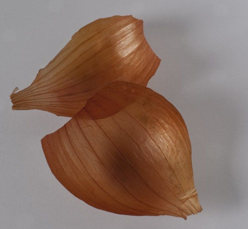 Untitled фото превью