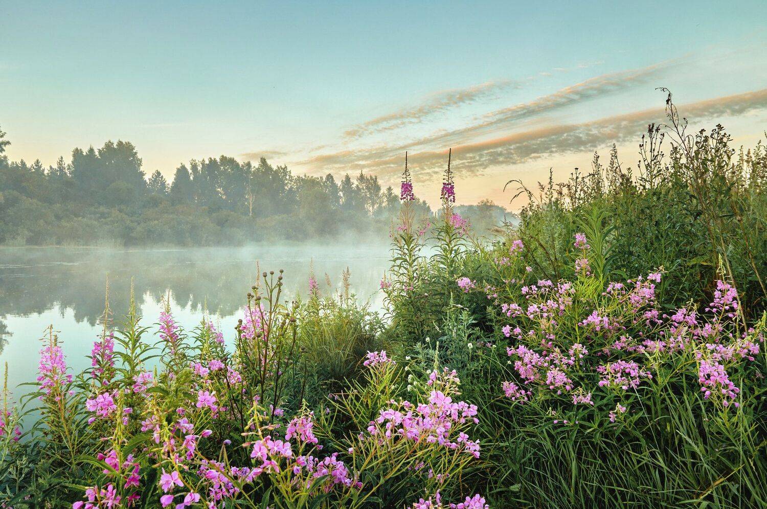 , Олег Богданов