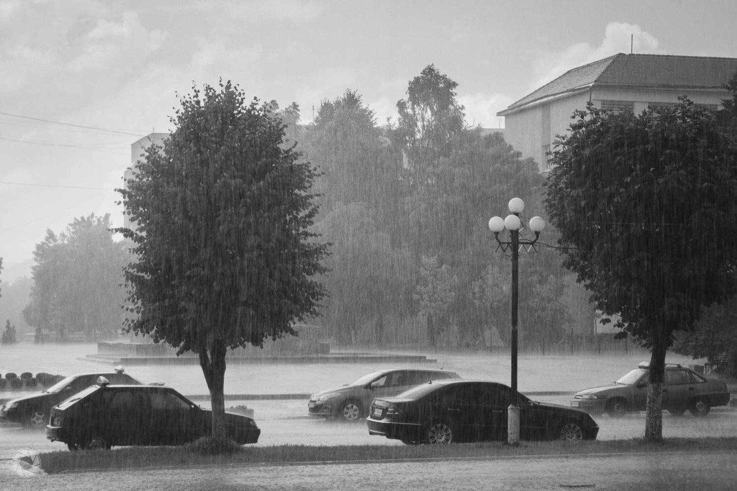 , Роман Шимкович