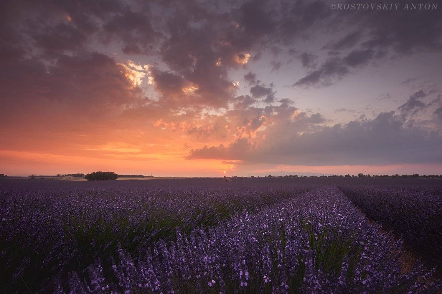 Прованс, закат, лаванда, Франция, triplaunch, Антон Ростовский
