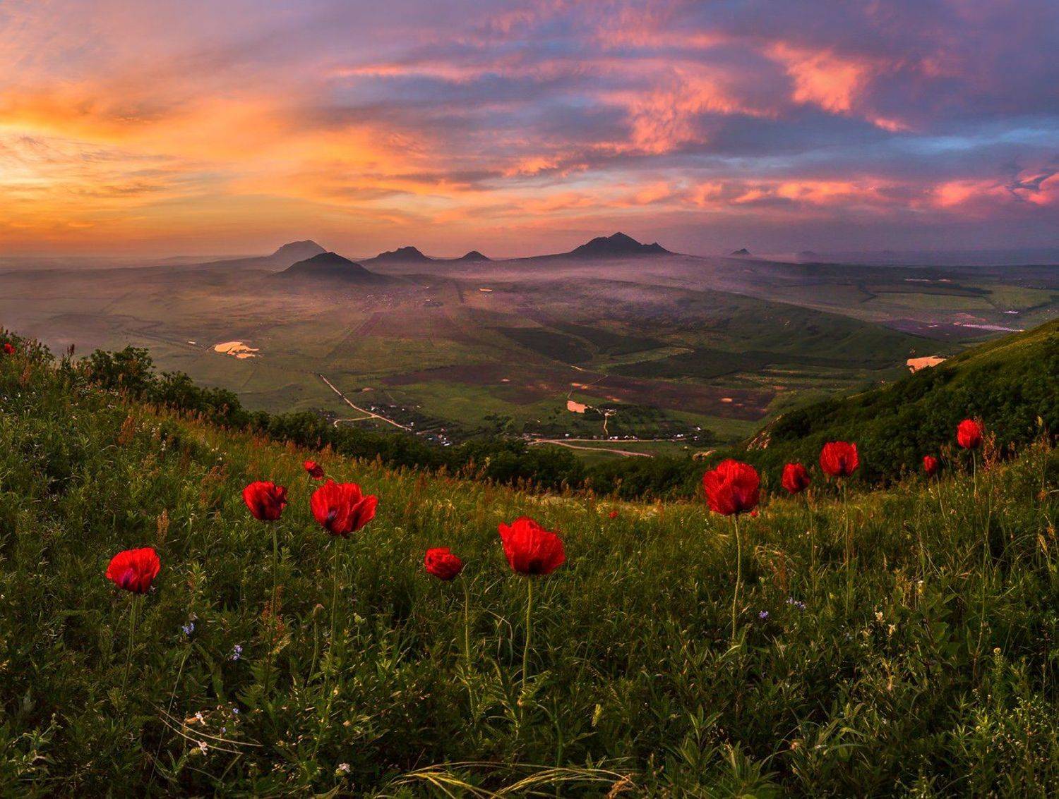 Бештау, Бык, Весна, Горы, Кавминводы, Мак, Прицветниковый, Рассвет, Ставропольский край, Степь, Туман, Цветы, Лашков Фёдор