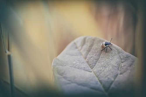 Мир глазами фотографа 2