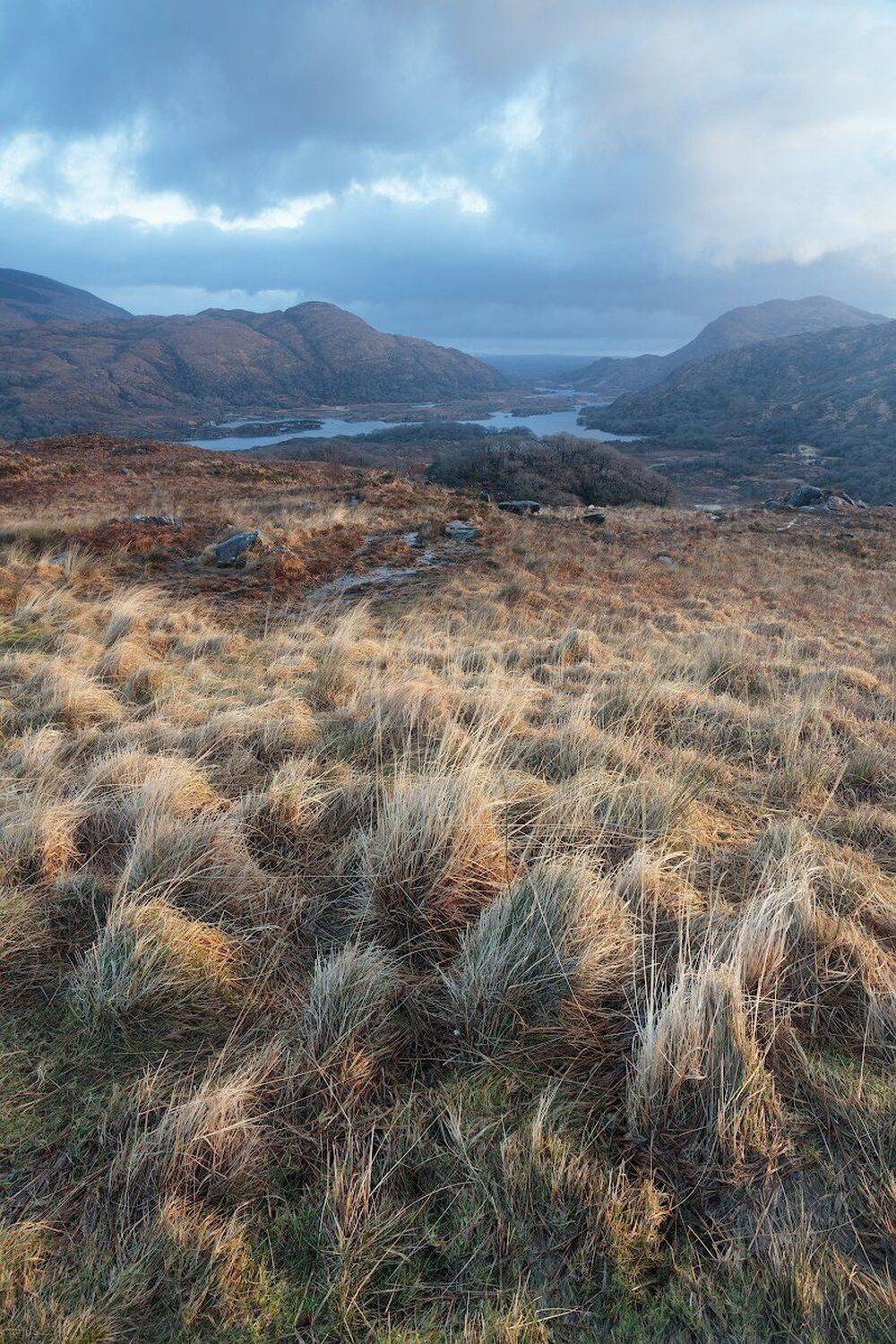 , Питенин Дмитрий