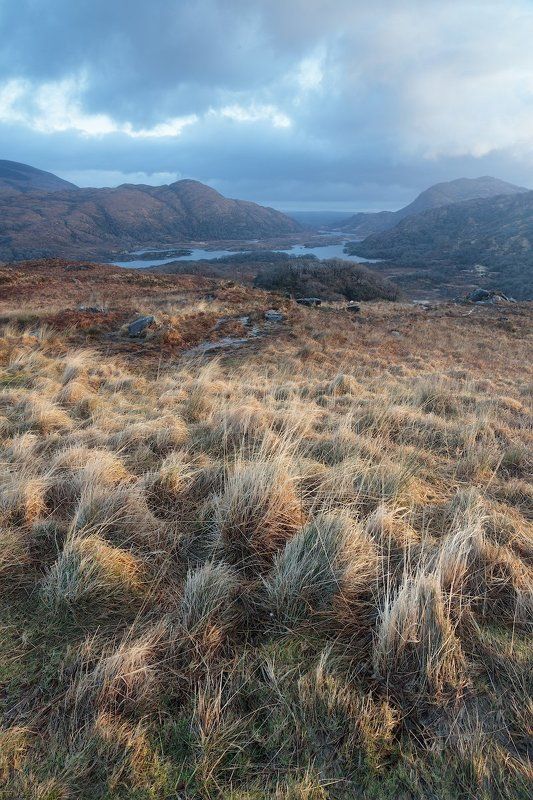 Ladies View фото превью