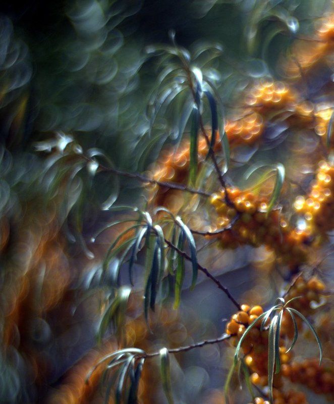 линии, пятна, природа, цвет, свет Durnopyan фото превью