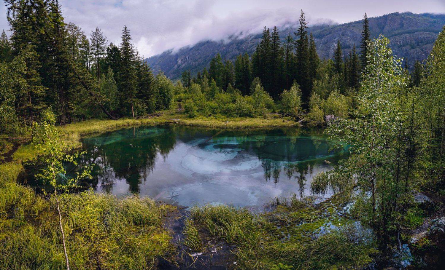 Гейзеры, озеро, горный, алтай, сибирь, природа, россия, карамышев, роман, акташ, чуйский, тракт, тайга, горы, Роман Карамышев