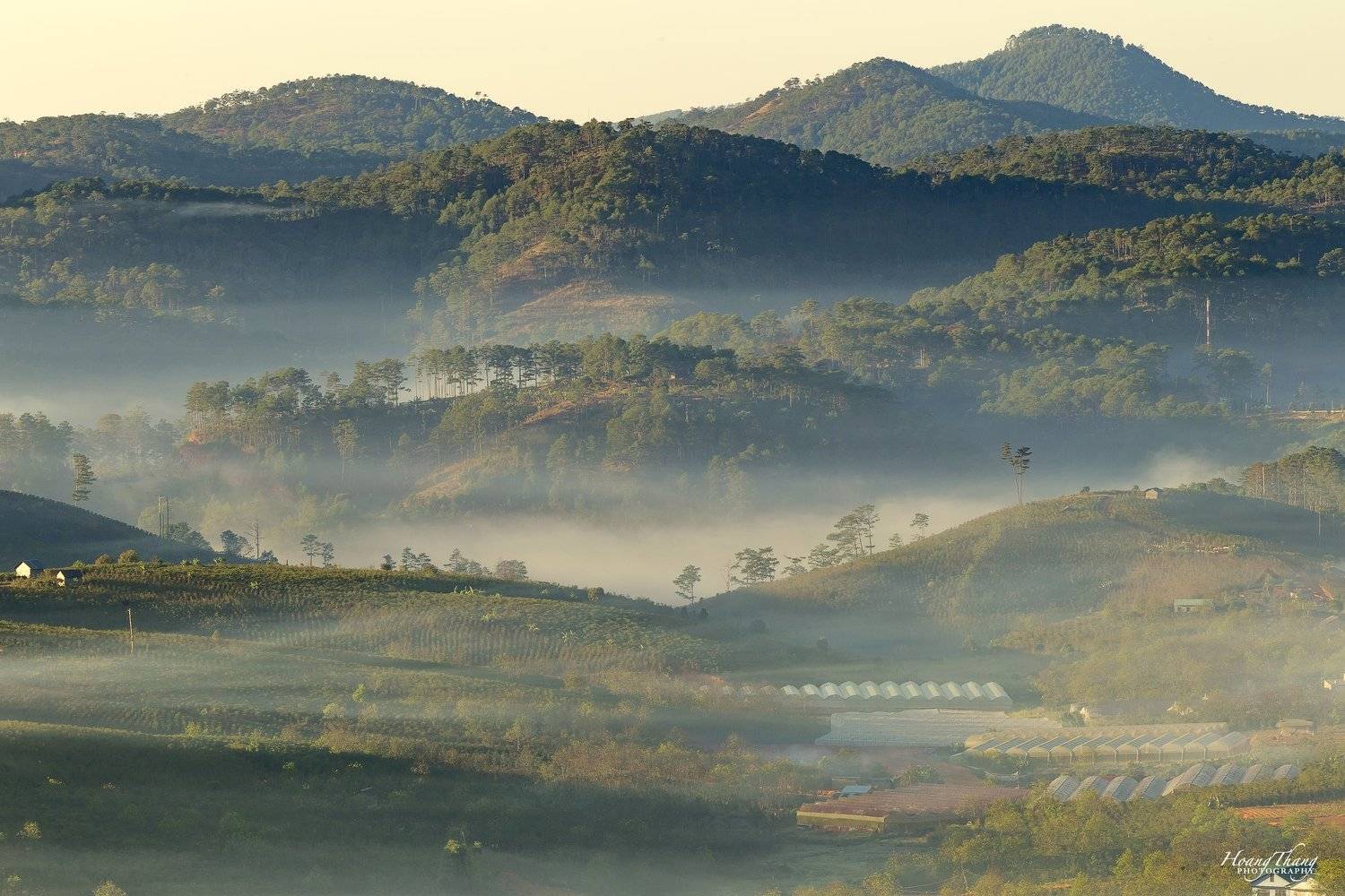 sun, frost, Hoang Tat Thang