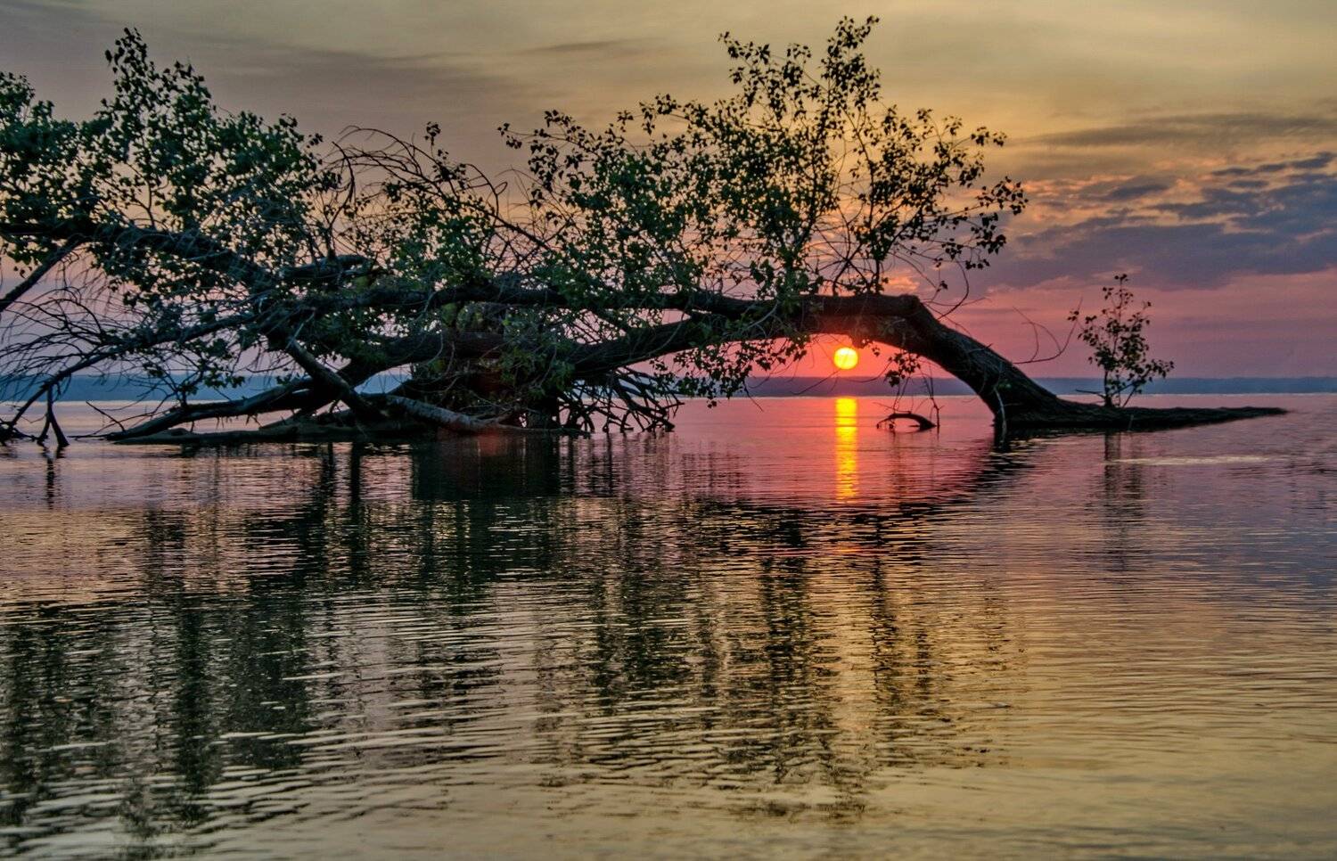 Восход, Рассвет, Река, Утро, Валерий Наумов