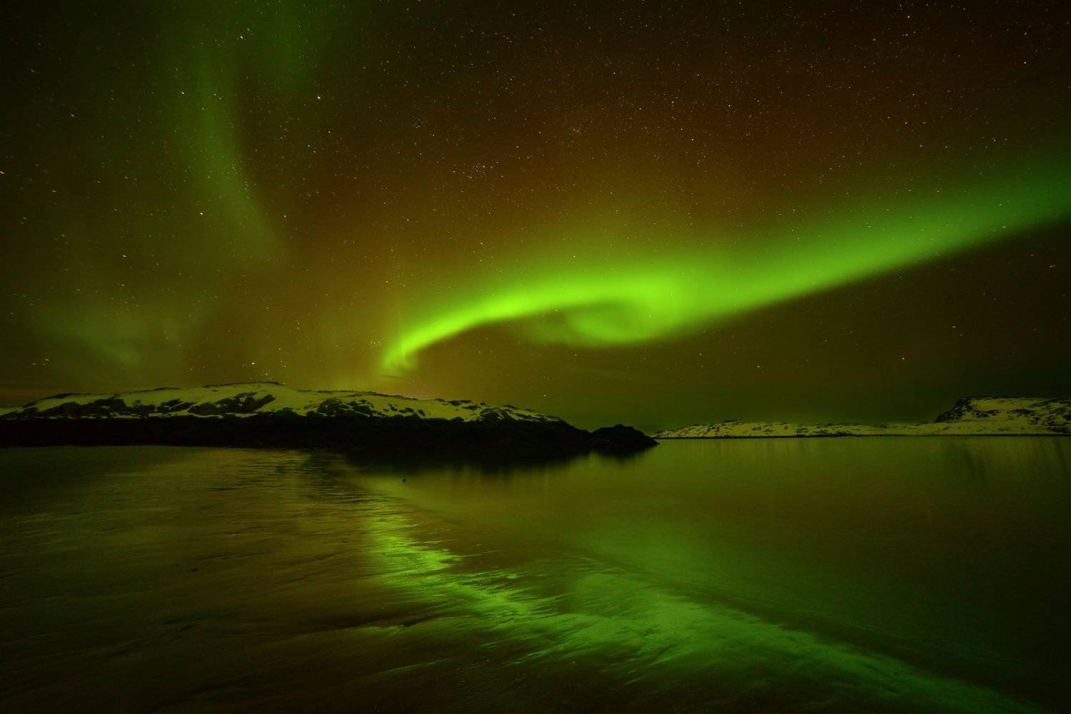, Максим Евдокимов ( www.wildphotorus.ru )