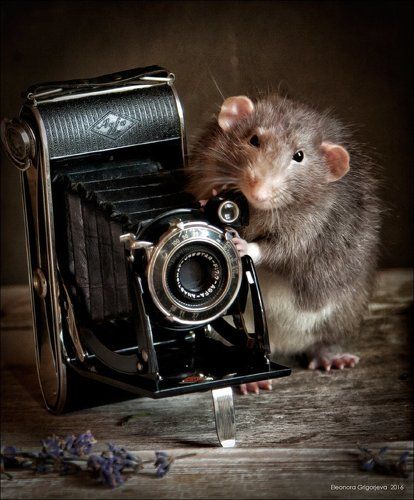 День фотографа. С опозданием))