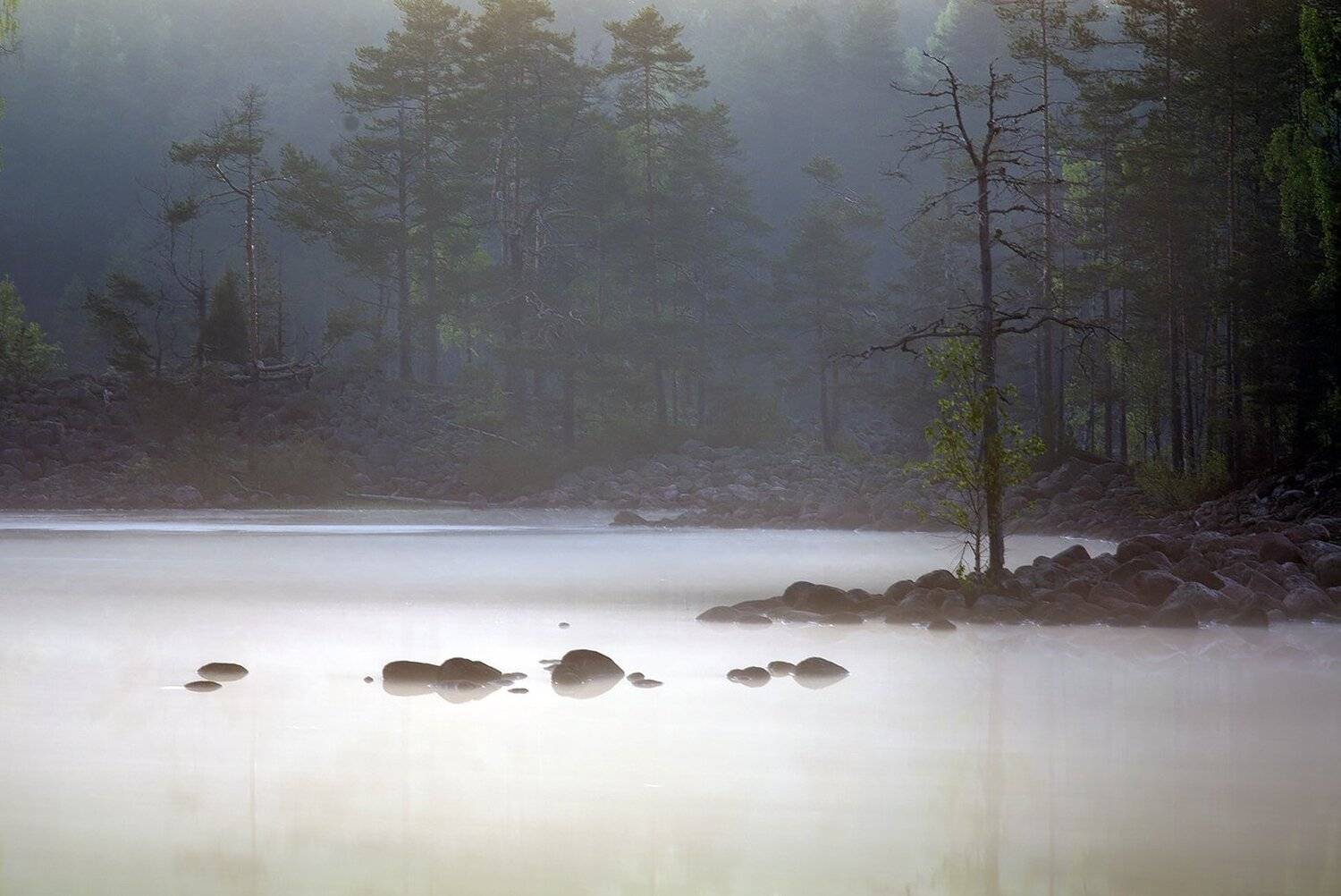 Карелия, Ночь, Туман, Виктор